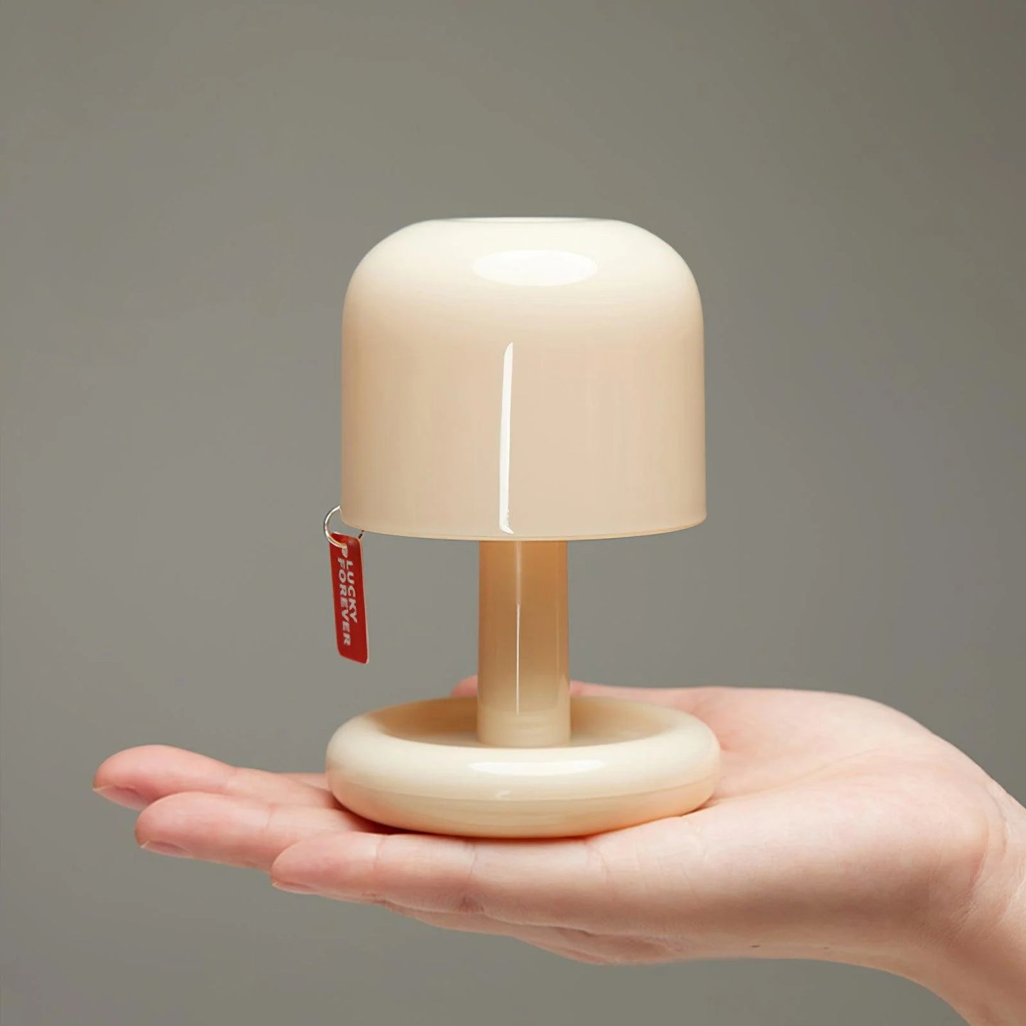 Mini Mushroom Lamp